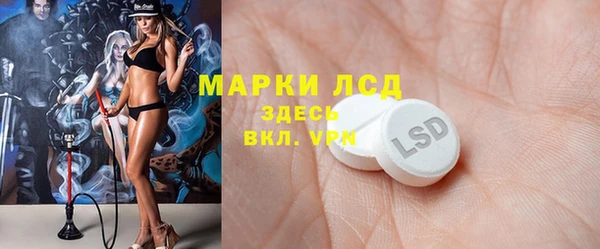 стаф Володарск