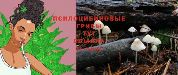 ешки Верхний Тагил
