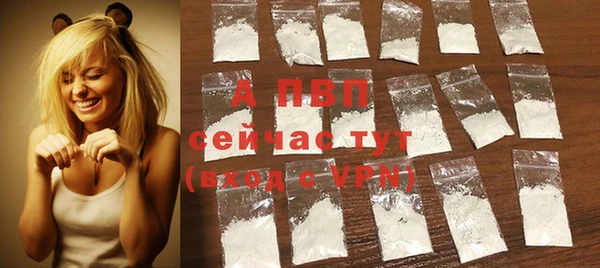 шишки Пересвет