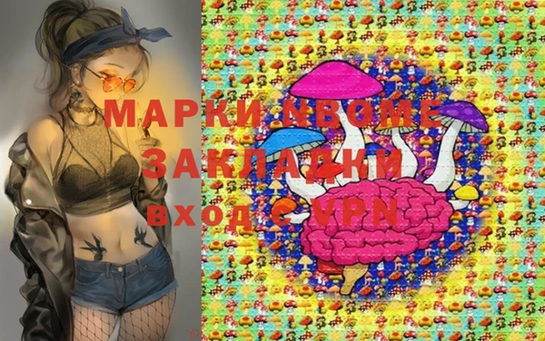 стаф Володарск